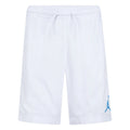 Kids Mj Flight Mvp Mesh Short In White