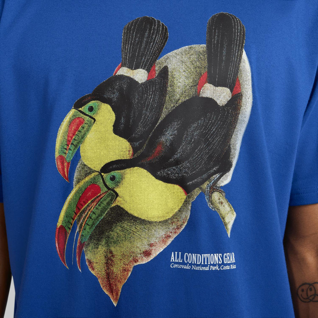 Men's Acg Toucan Dri Fit Top In Blue