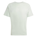 adidas Originals crew neck raglan jersey T-shirt, light green with small chest logo