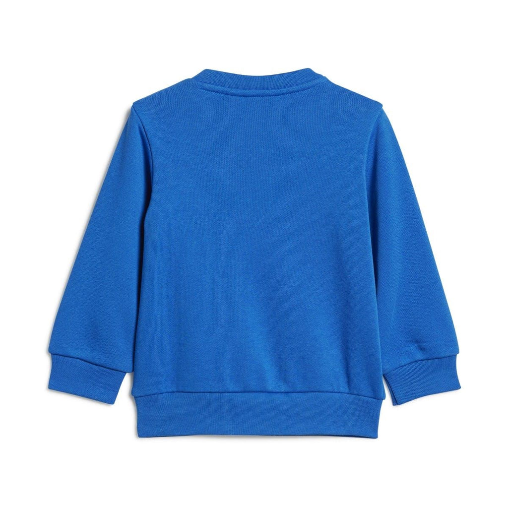 Infant blue crew sweatshirt back view with ribbed collar and cuffs