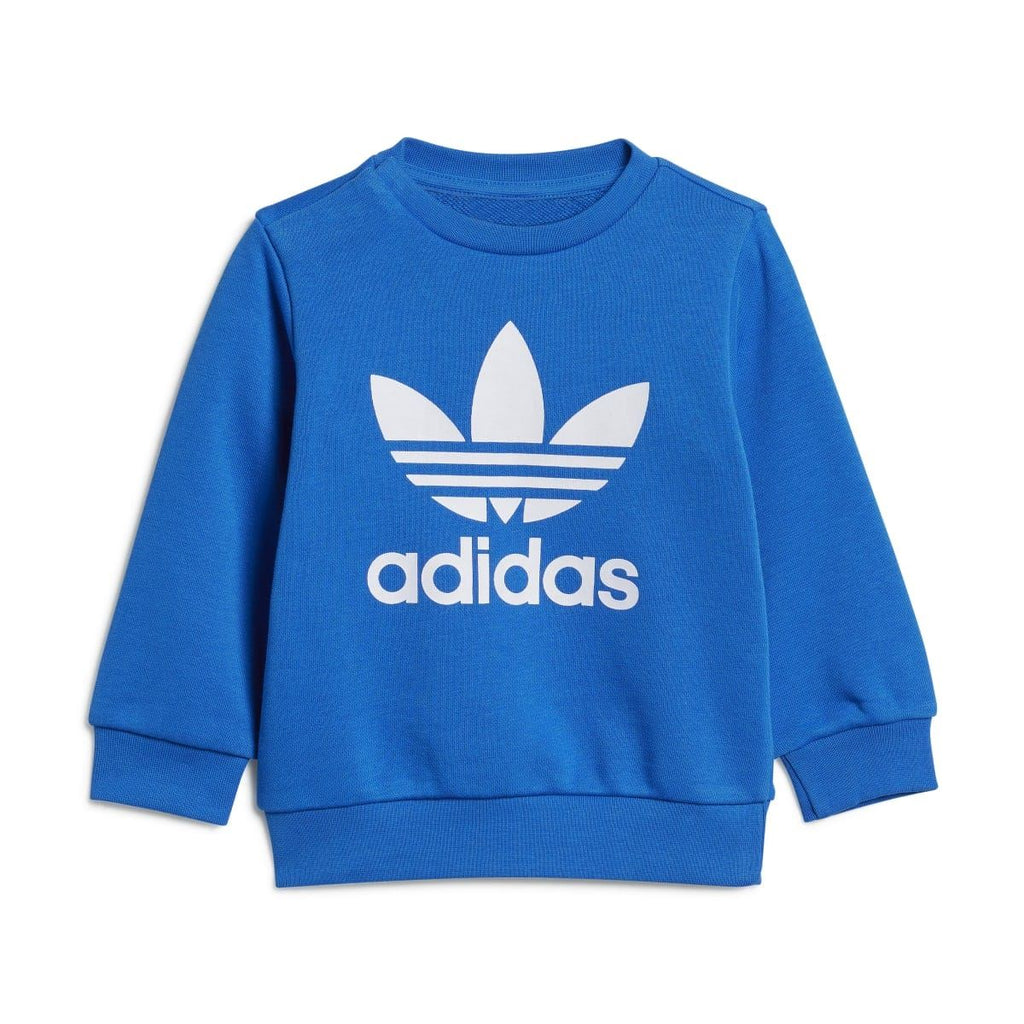 Infant blue crew sweatshirt with white adidas logo graphic and ribbed cuffs