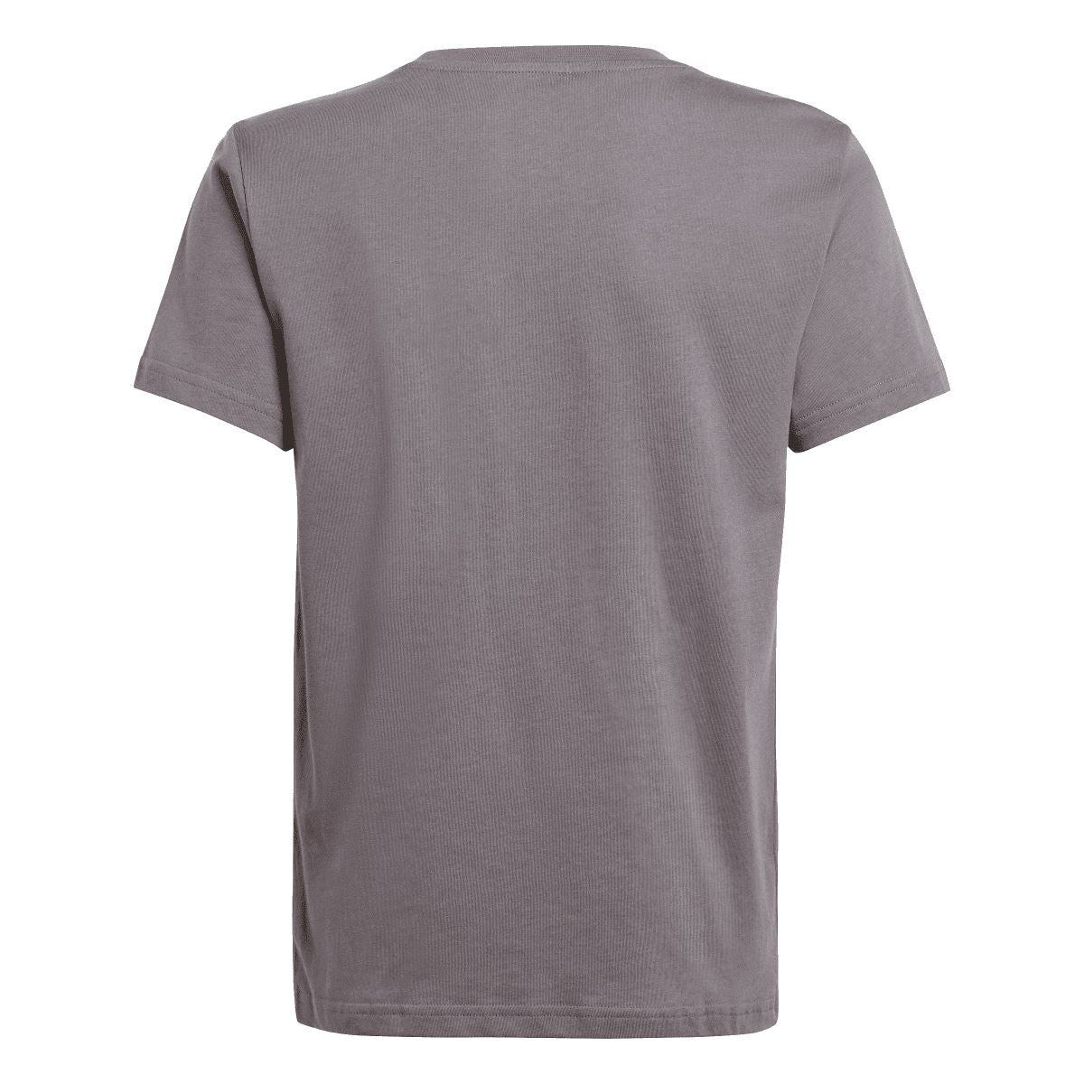 Grey junior T-shirt, plain back view with crew neck and short sleeves.