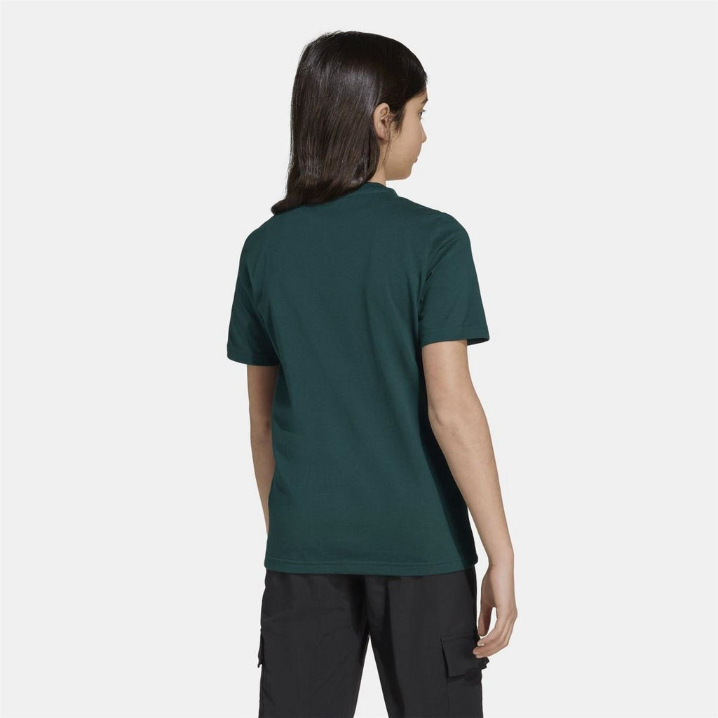 adidas Originals green T-shirt back view with crew neck and short sleeves