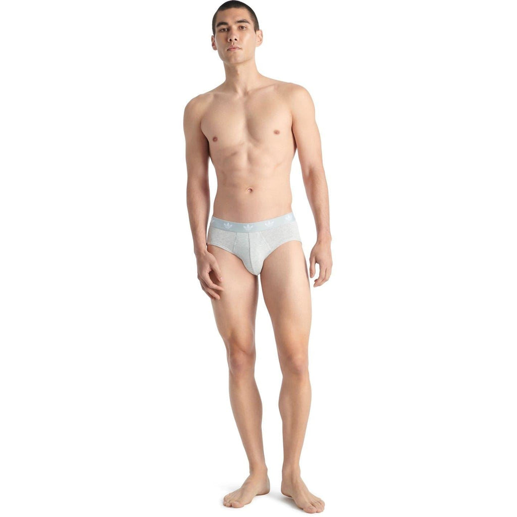 Men's cotton briefs in light gray with logo waistband, worn front view