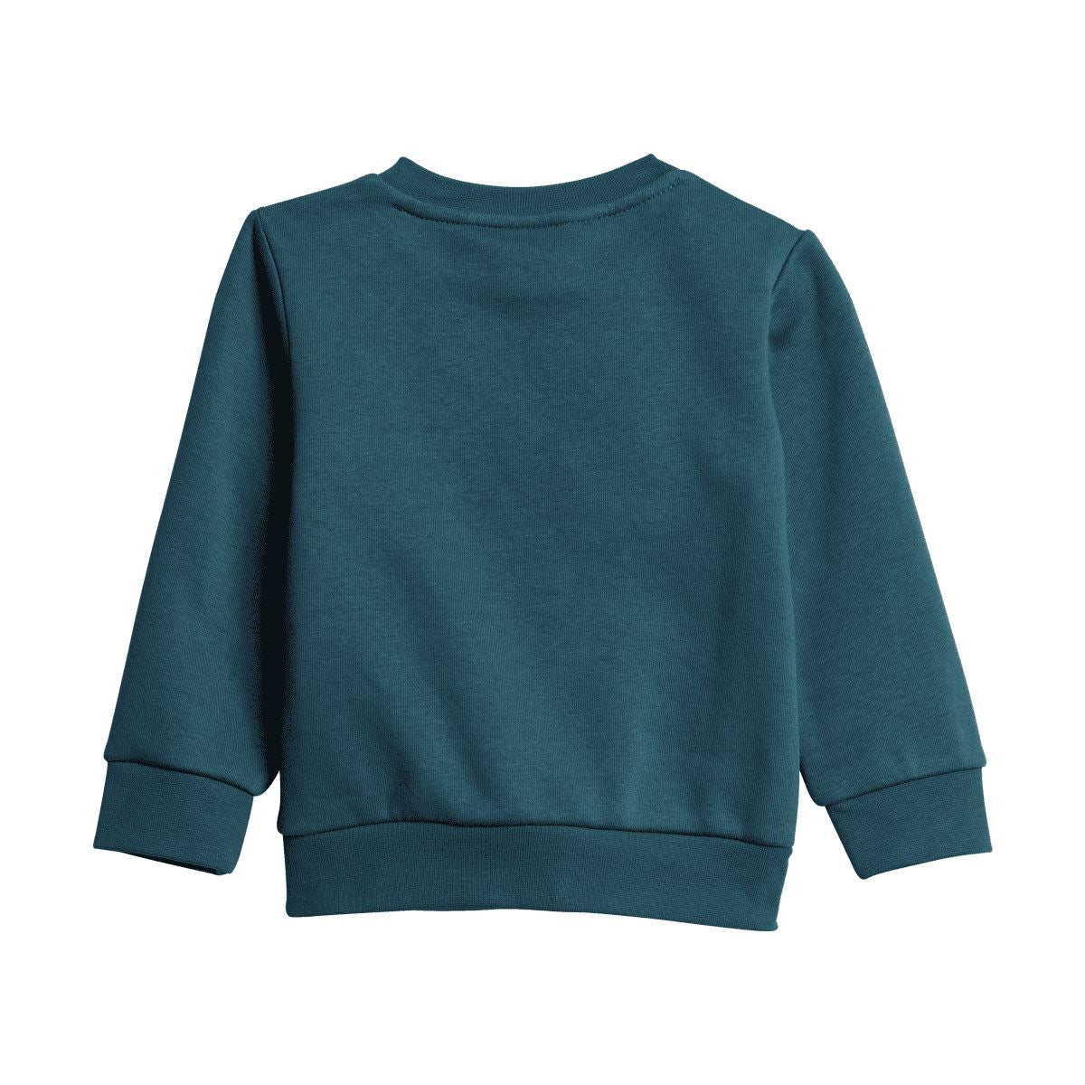Teal infant crew sweatshirt with ribbed hem and cuffs, no visible logo